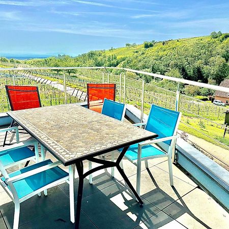 Apartmán Janea Big Blue House Reichsfeld Exteriér fotografie