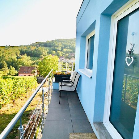 Apartmán Janea Big Blue House Reichsfeld Exteriér fotografie