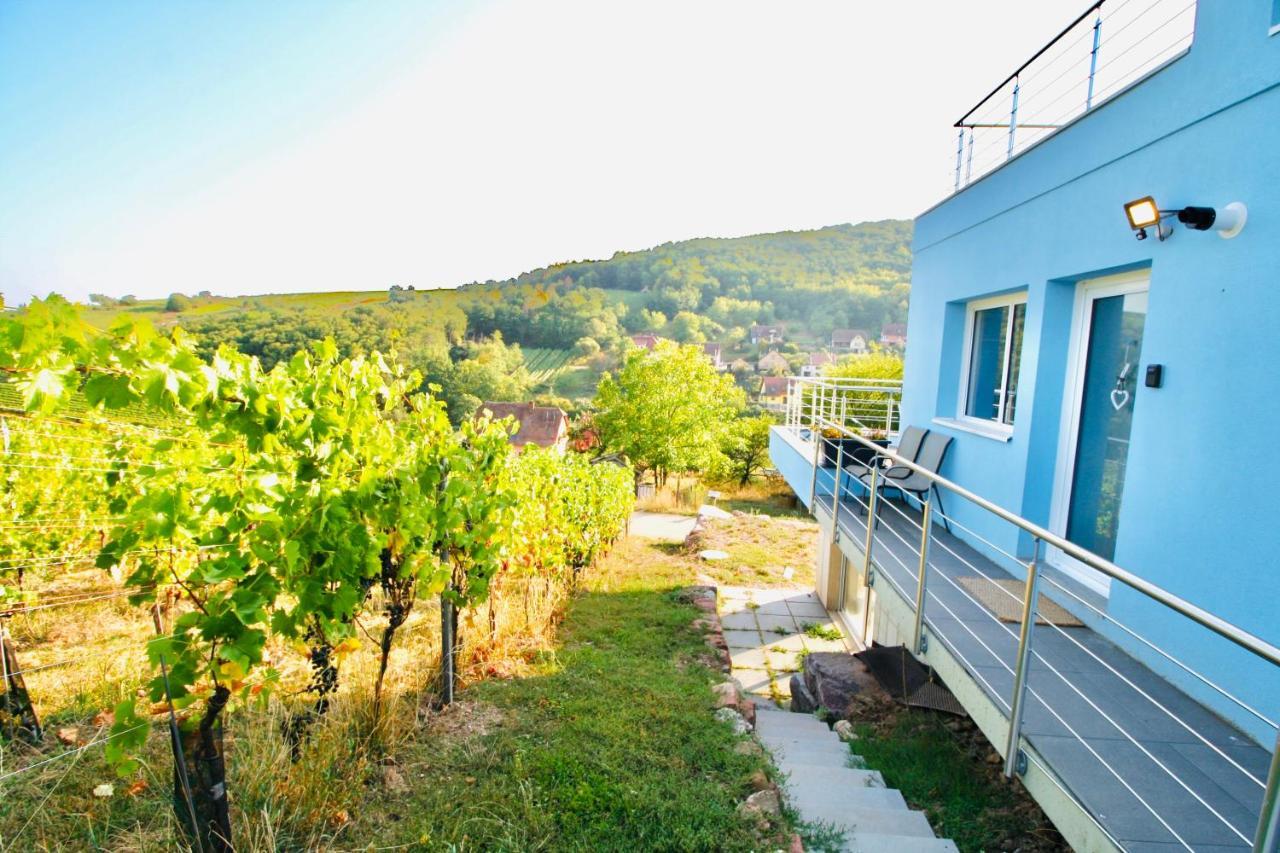 Apartmán Janea Big Blue House Reichsfeld Exteriér fotografie