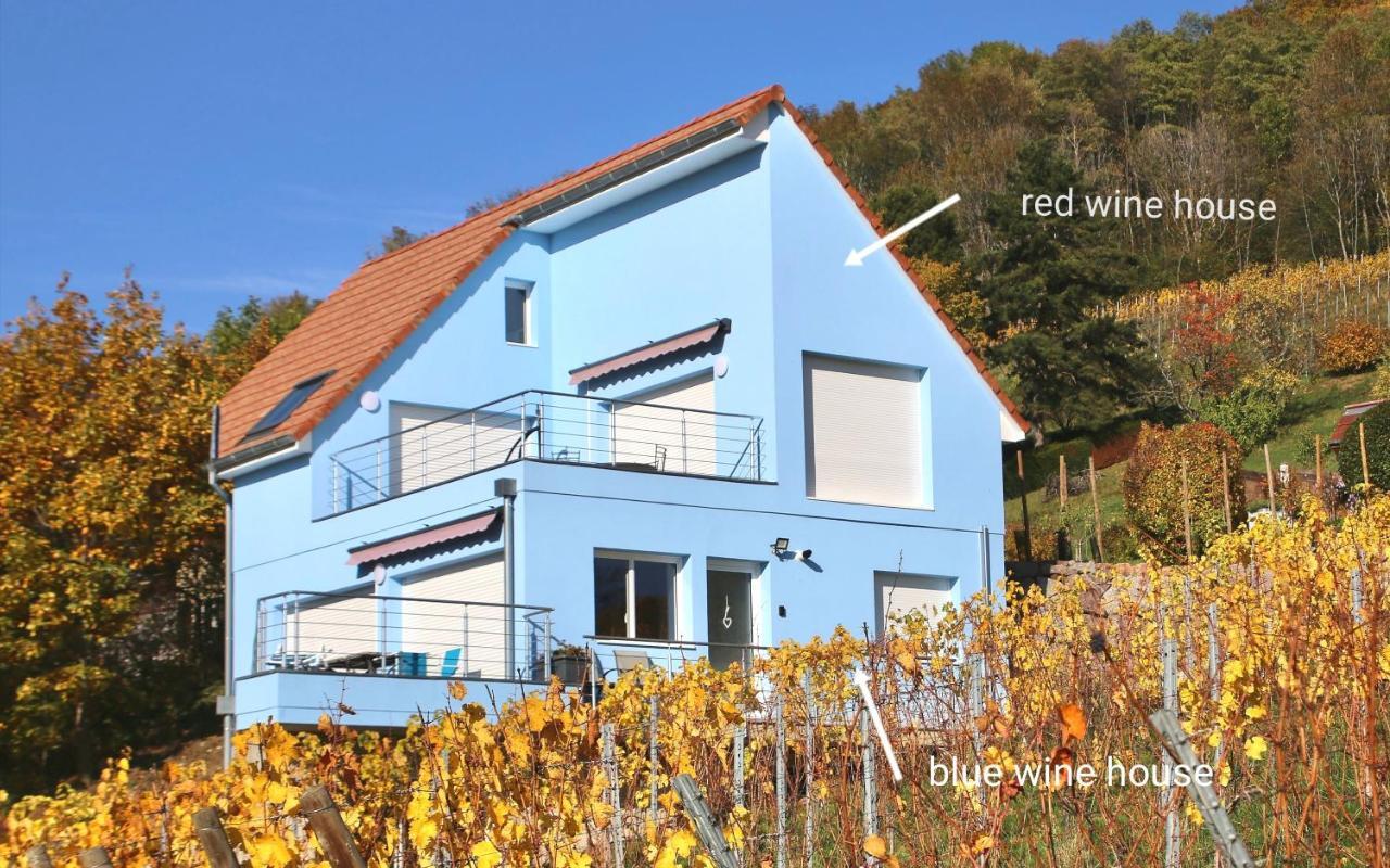 Apartmán Janea Big Blue House Reichsfeld Exteriér fotografie