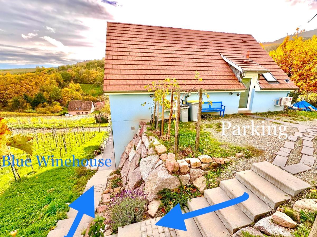 Apartmán Janea Big Blue House Reichsfeld Exteriér fotografie