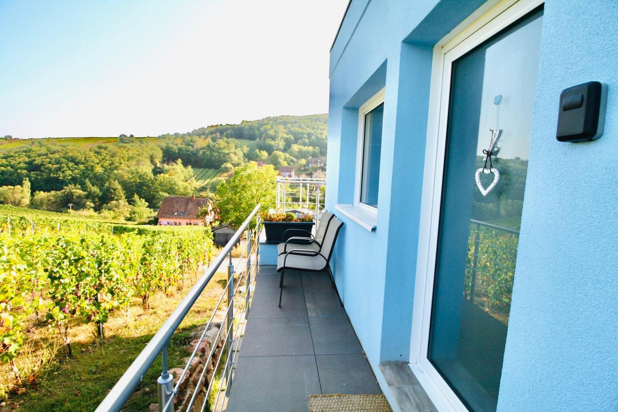 Apartmán Janea Big Blue House Reichsfeld Exteriér fotografie