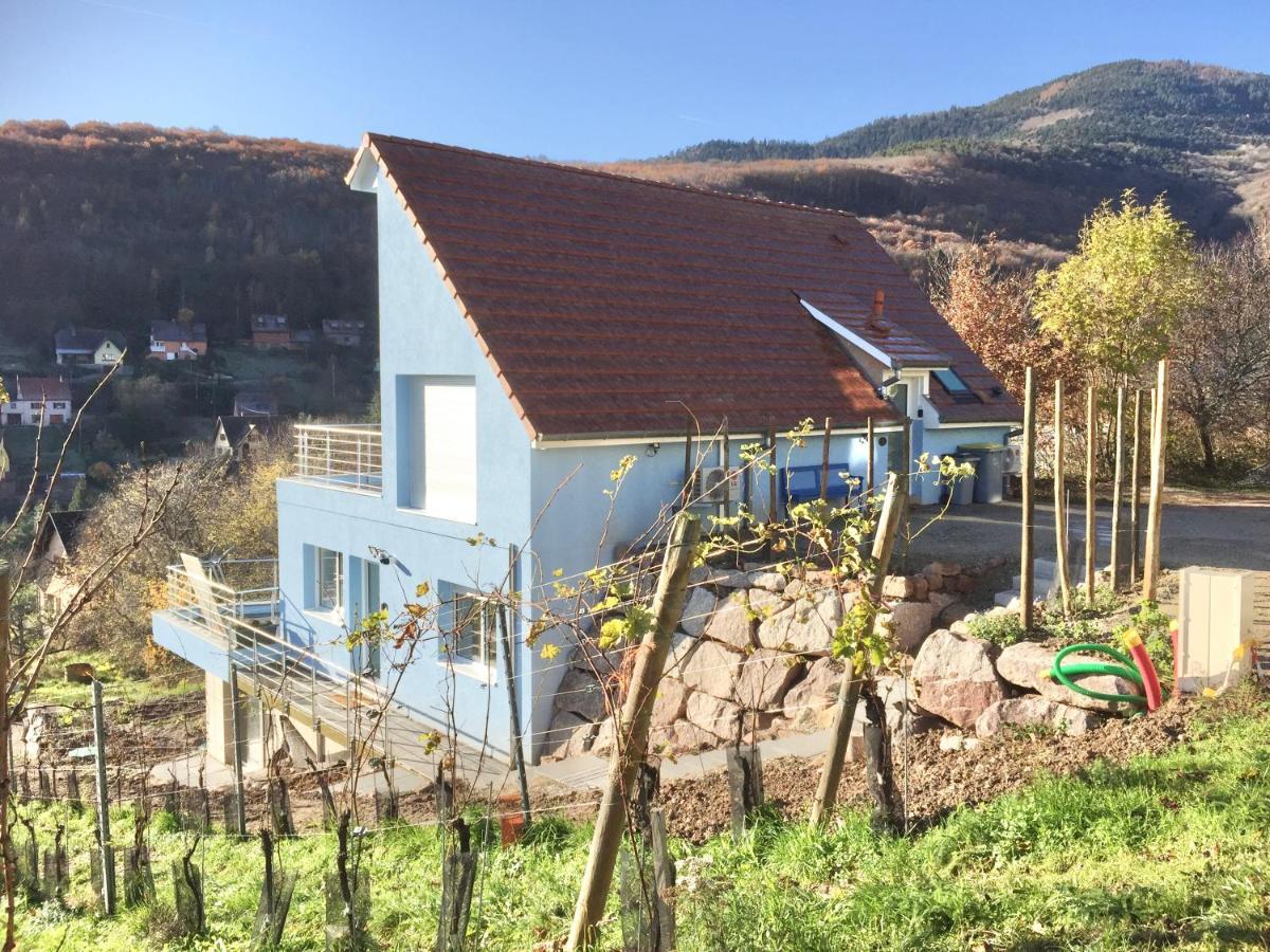 Apartmán Janea Big Blue House Reichsfeld Exteriér fotografie